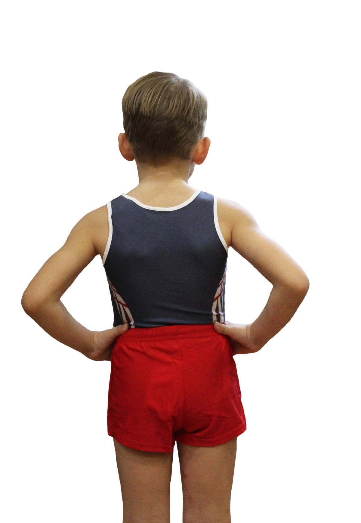 Купальник мужской для спортивной гимнастики GK Sport 107-51 синий с белым и красным без рукава