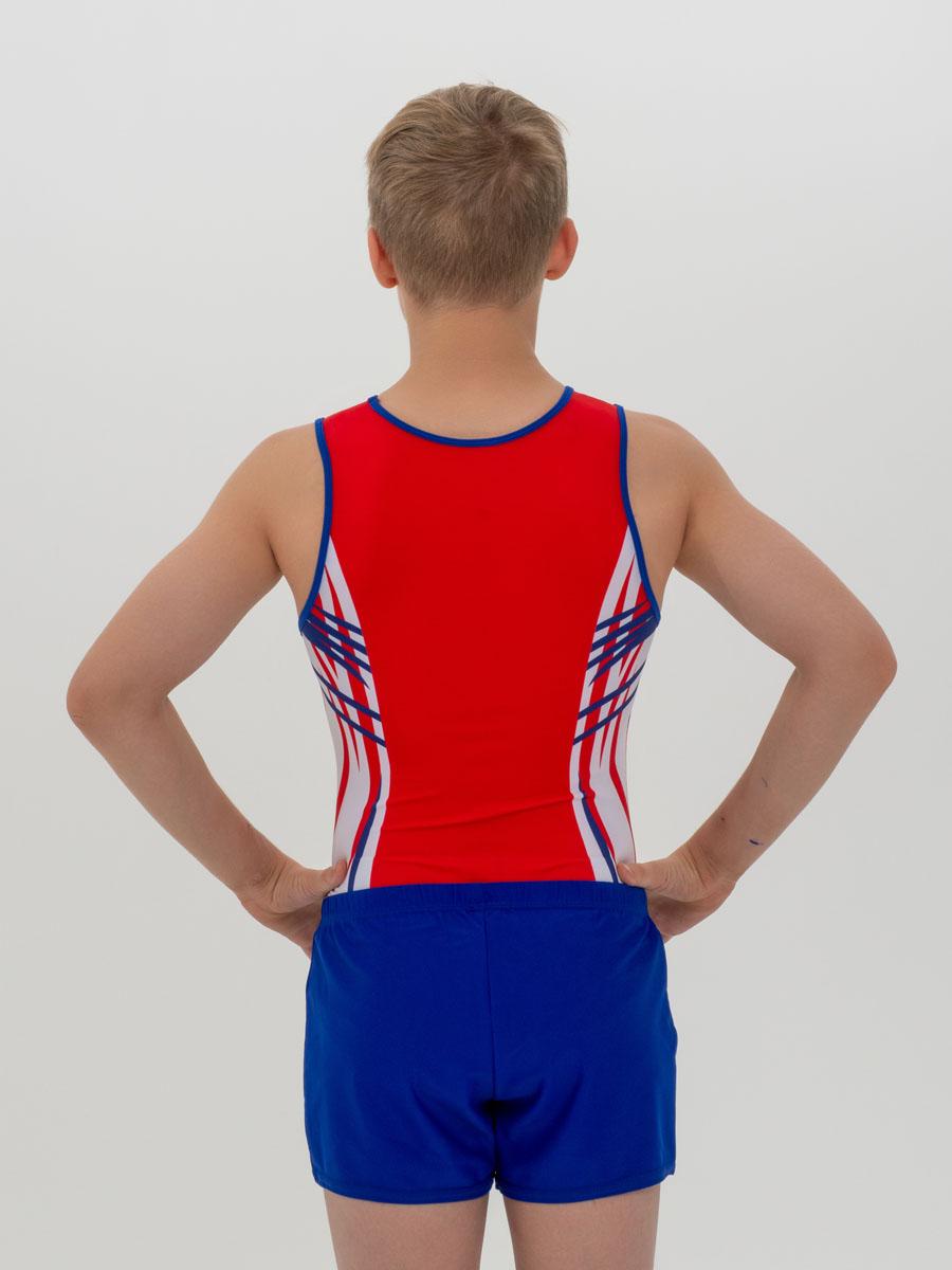 Купальник мужской для спортивной гимнастики GK Sport 202-23 красный с бело-синим рисунком без рукава