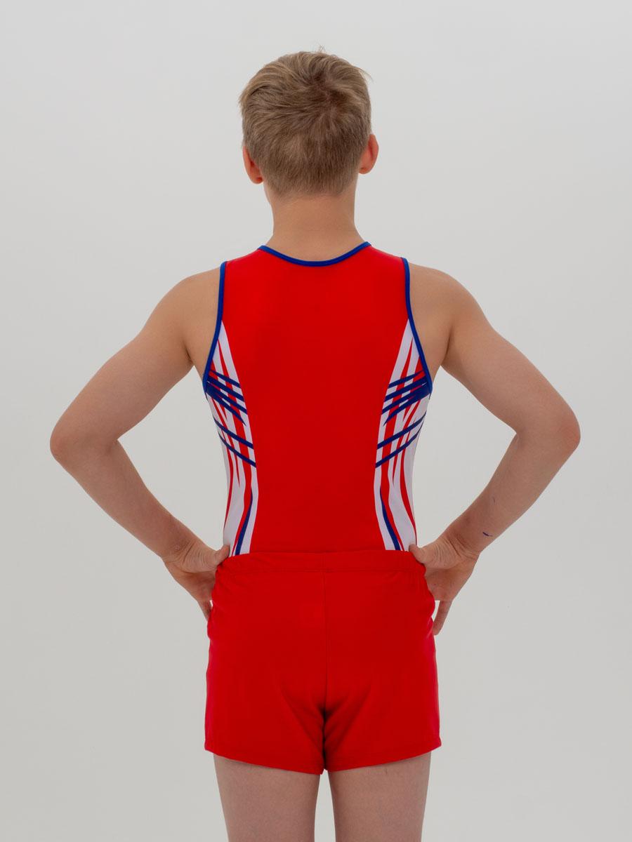 Купальник мужской для спортивной гимнастики GK Sport 202-23 красный с бело-синим рисунком без рукава