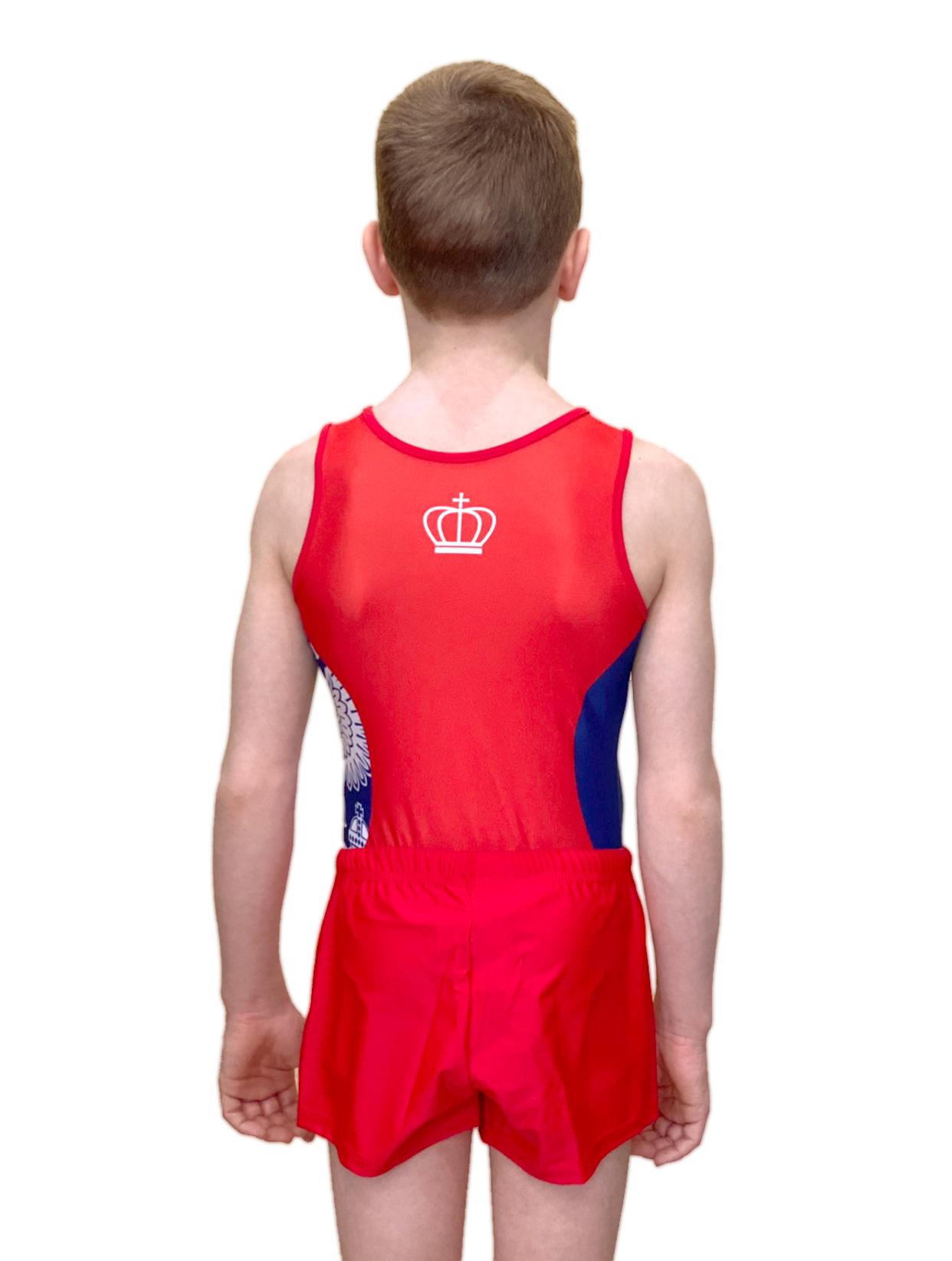 Купальник мужской для спортивной гимнастики GK Sport 201-81 RUSSIAN EAGLE без рукава