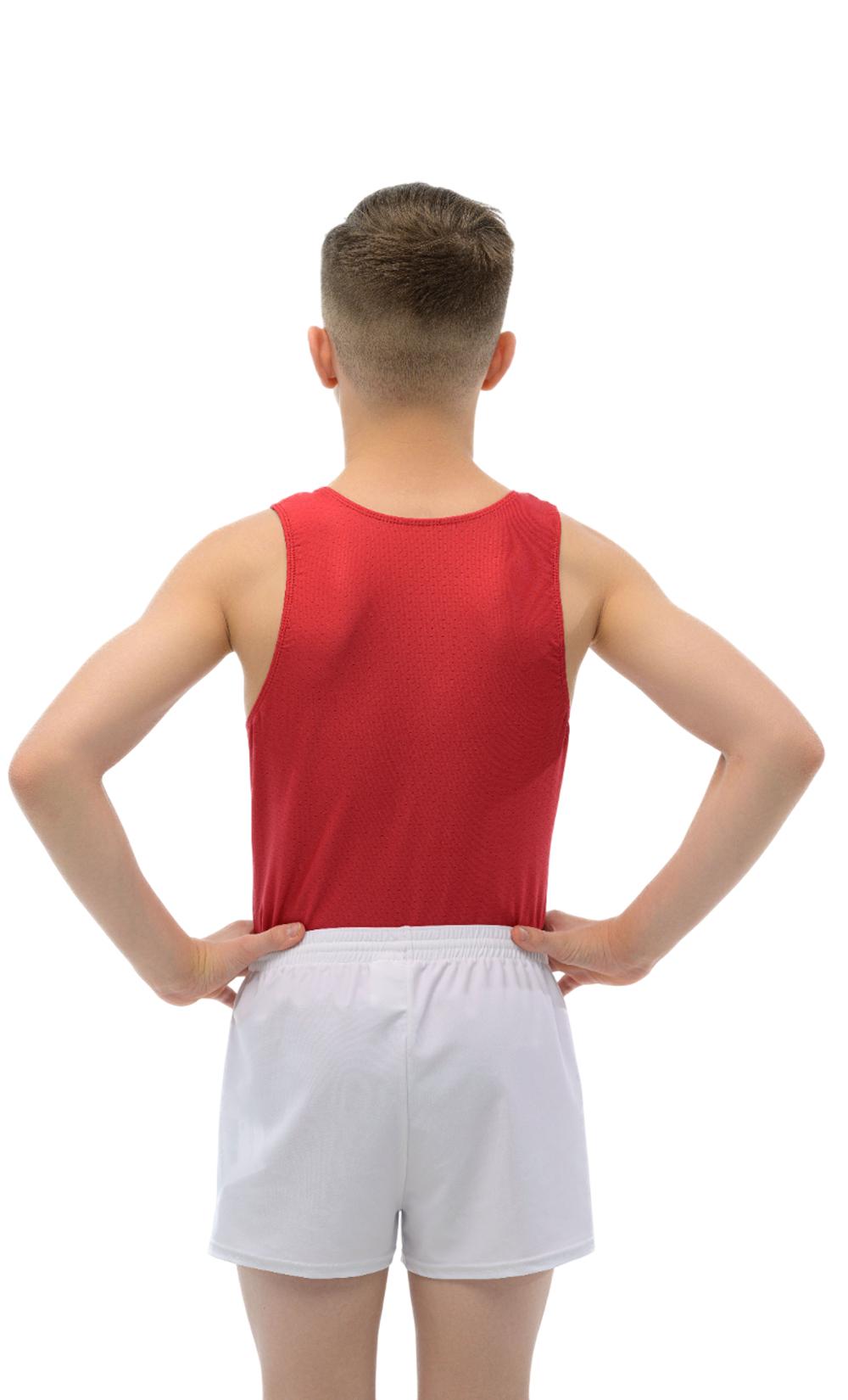 Купальник мужской для спортивной гимнастики Motionwear 9631